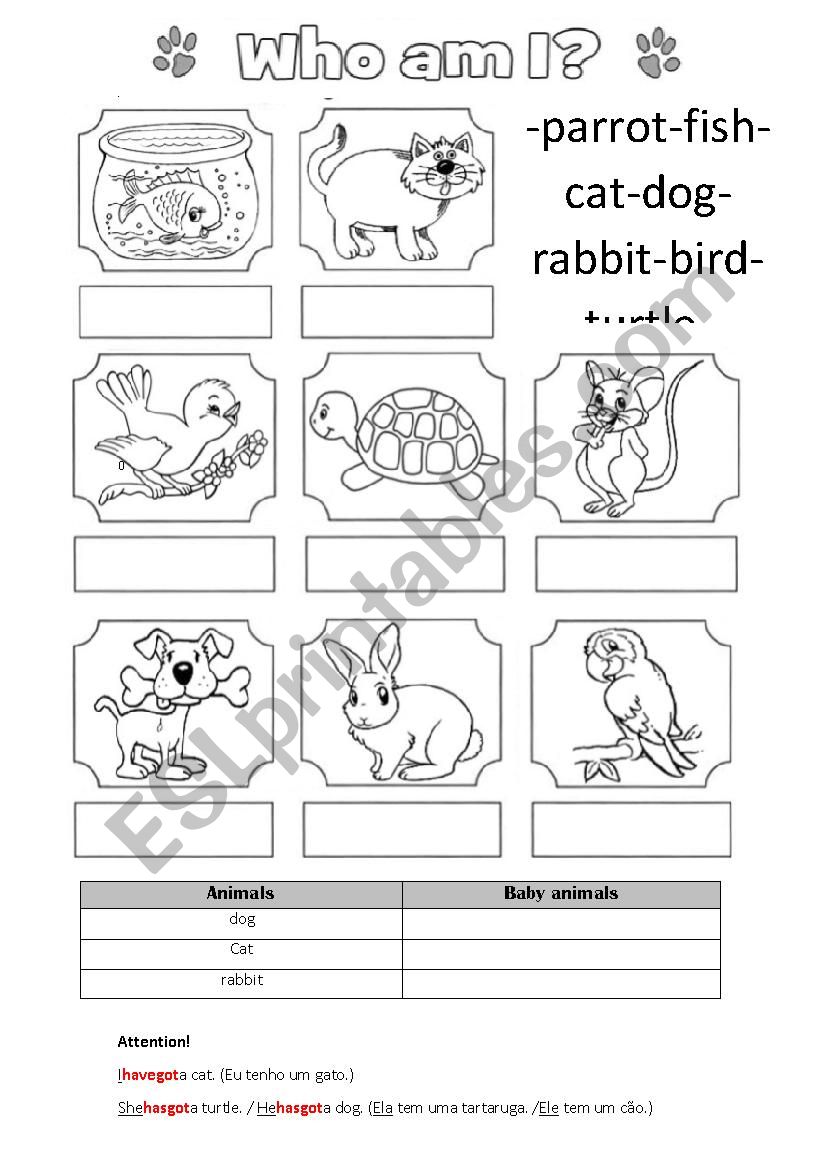 Pets vocabulary worksheet