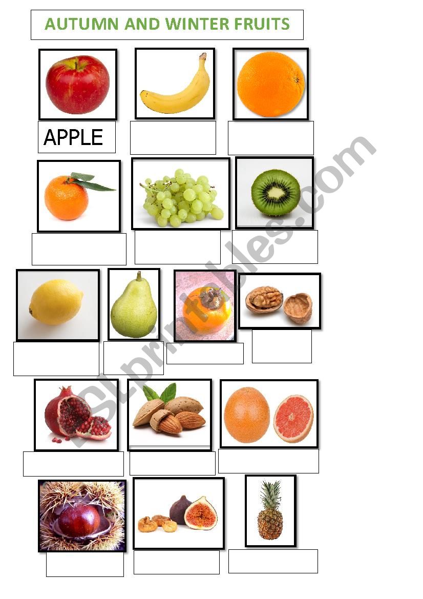 FRUIT worksheet