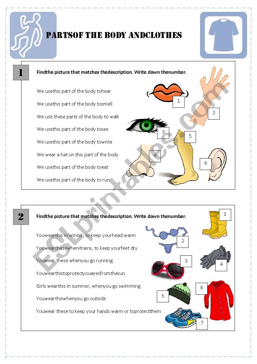Body parts and clothes reading/vocab exercise