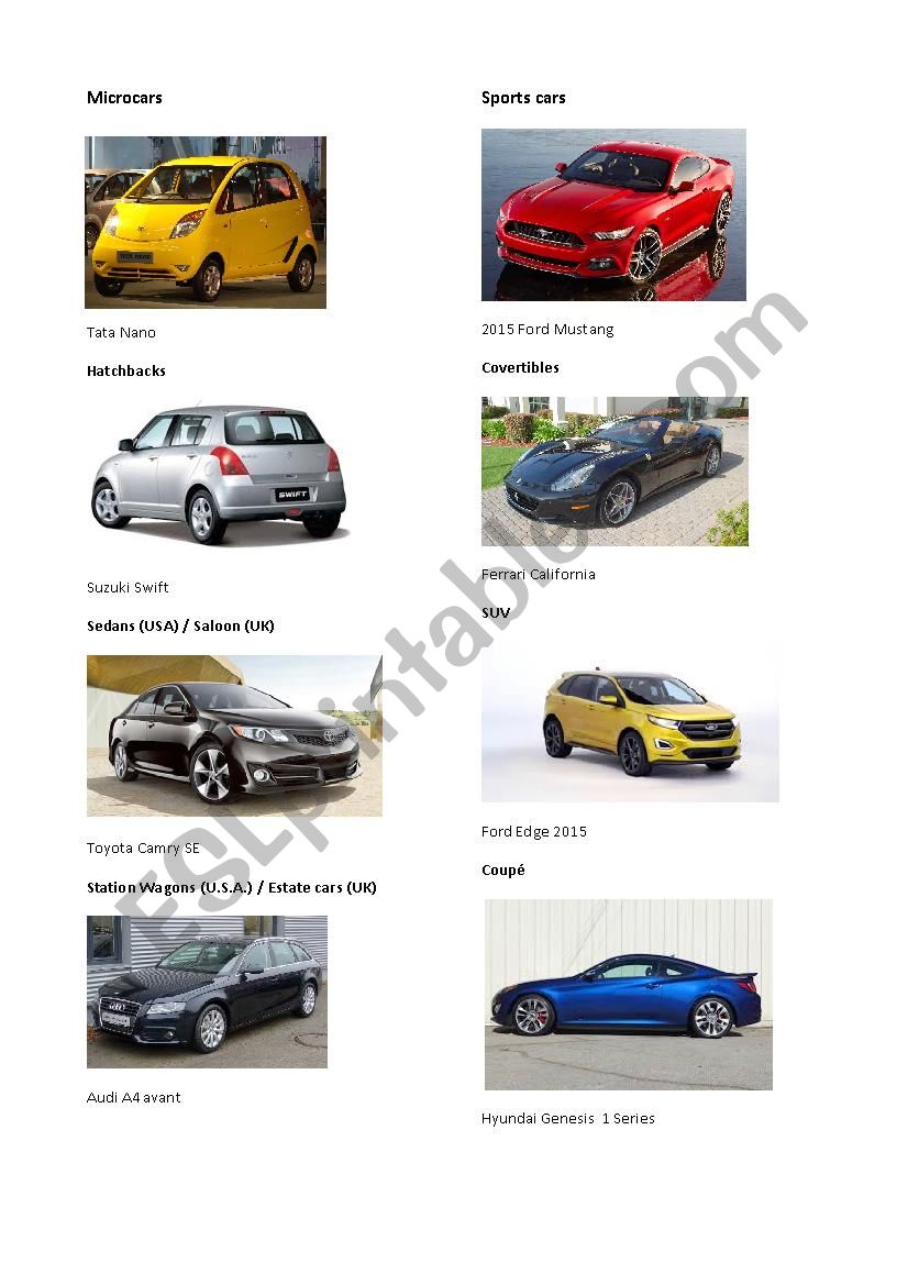 Types of car body worksheet