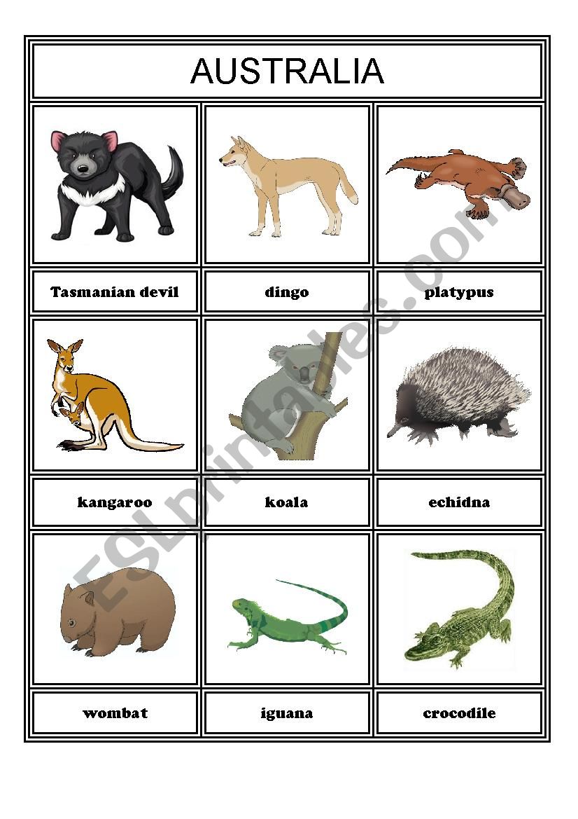 Animals from different continents - part 4 - Australia and Antarctica & The  Arctic - ESL worksheet by paoldak