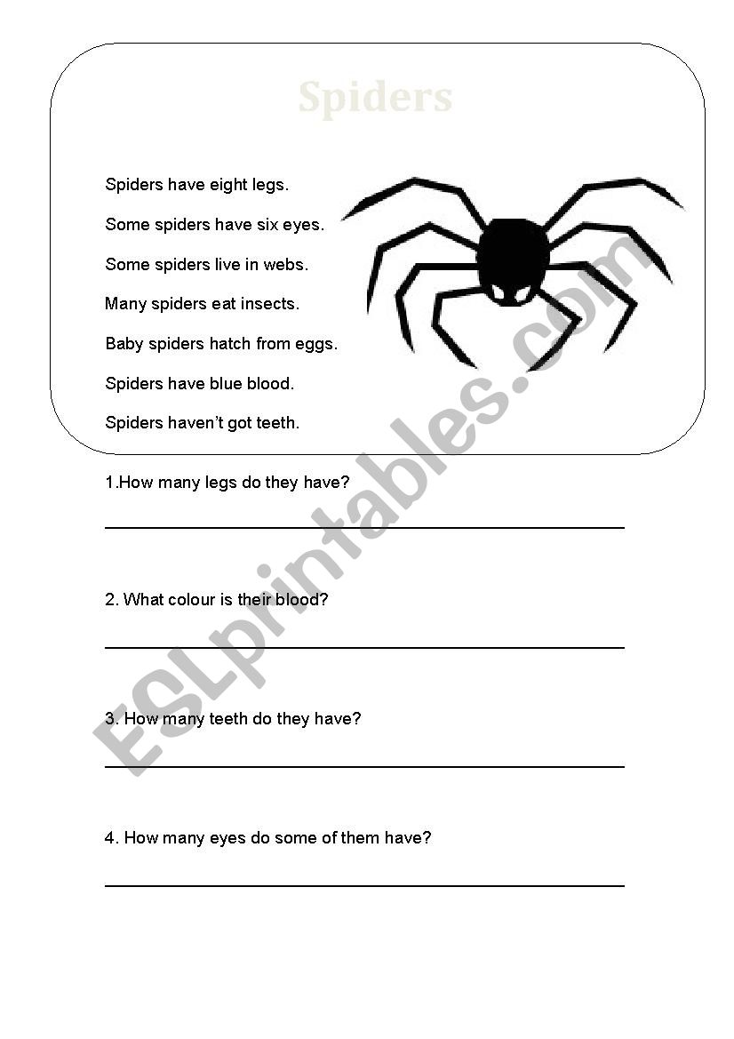Spiders worksheet
