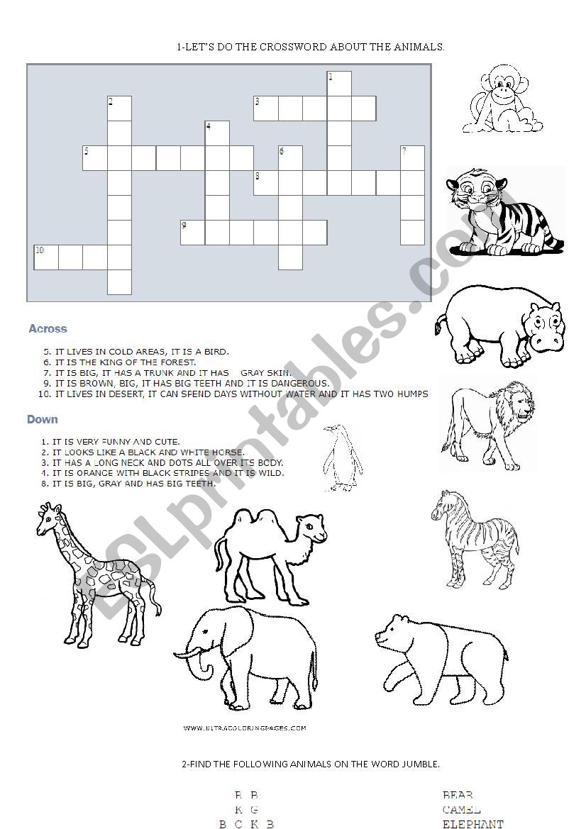 Animals worksheet