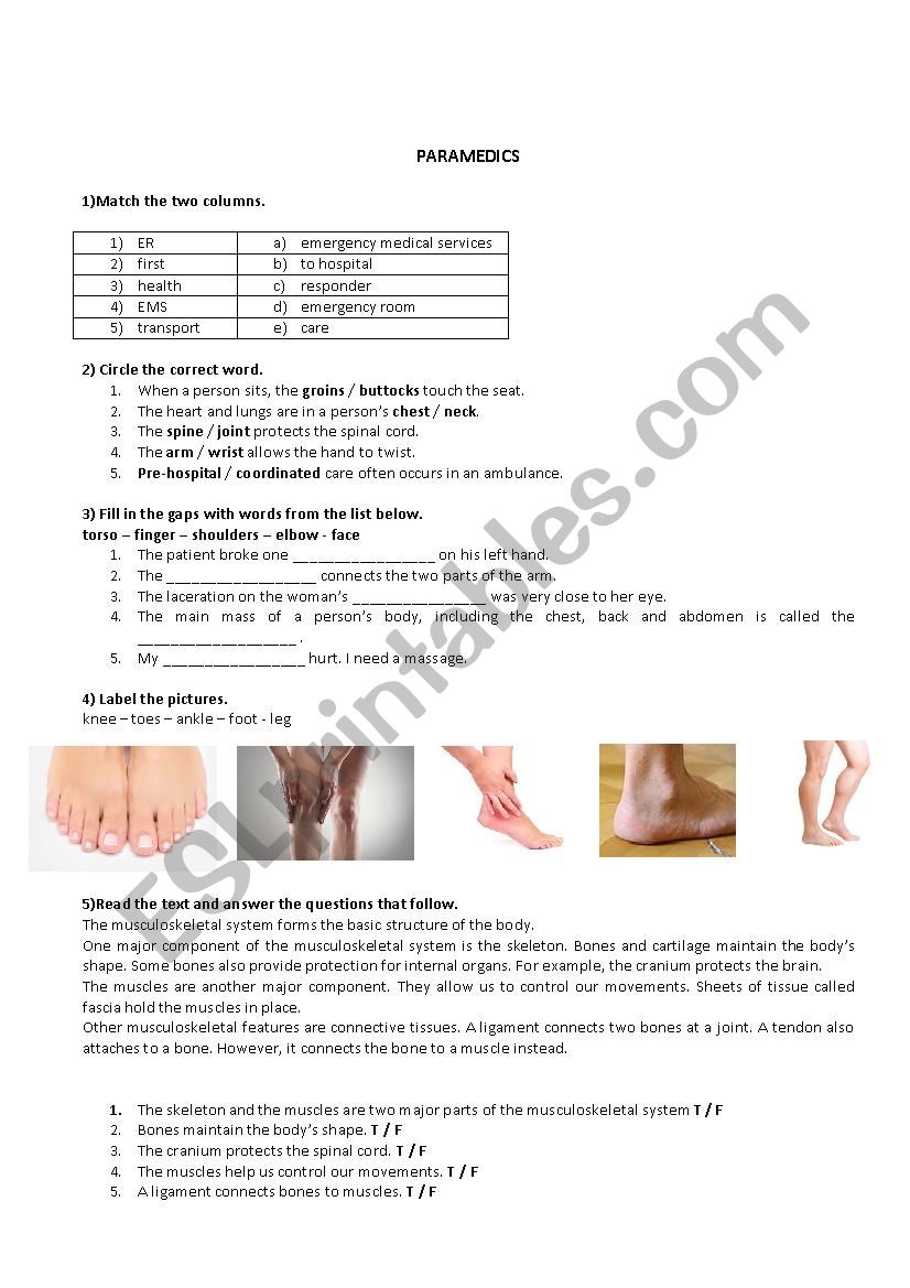 Mrs worksheet