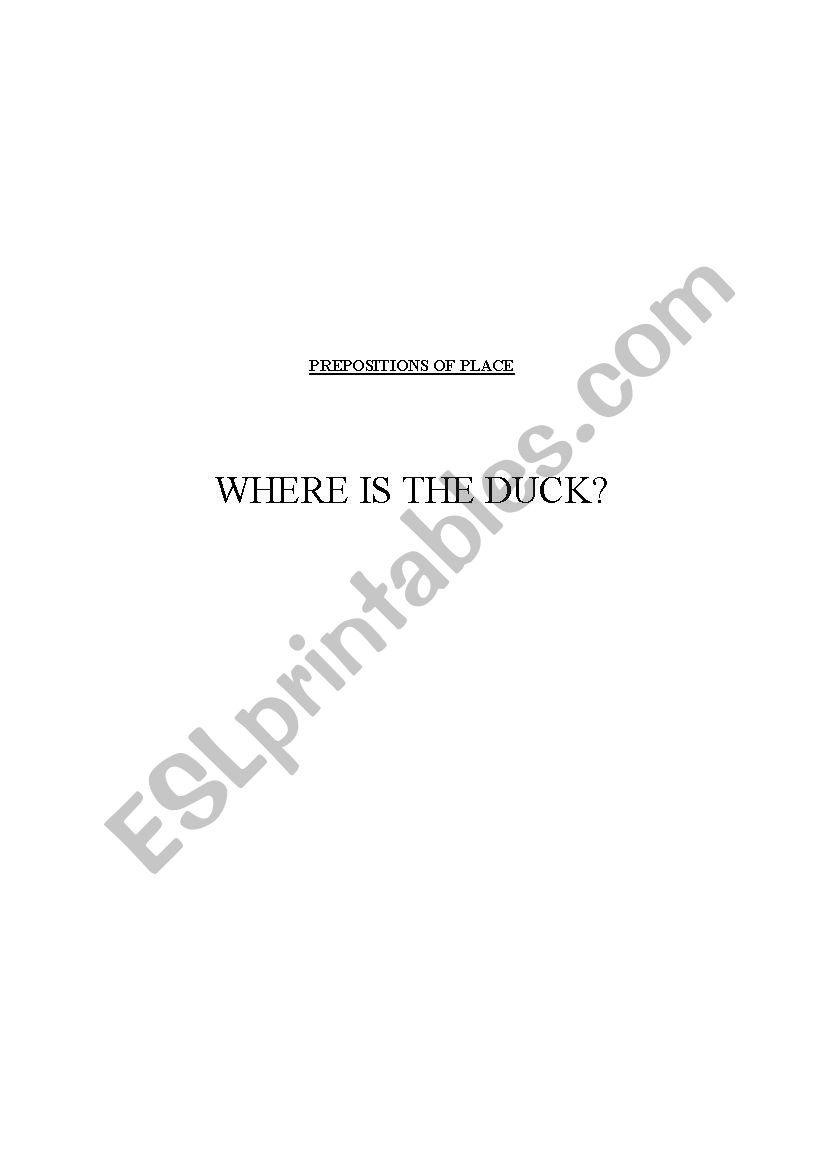 PREPOSITIONS OF PLACE  worksheet