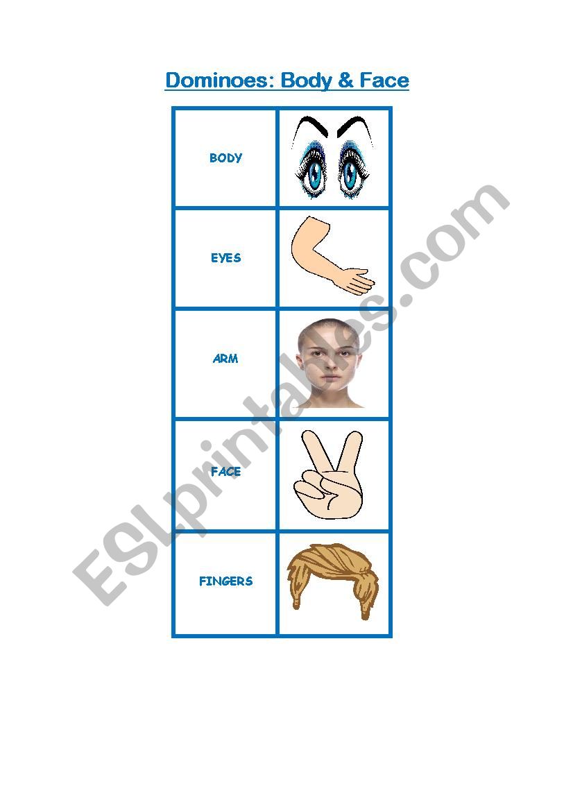 Body & Face Bingo worksheet