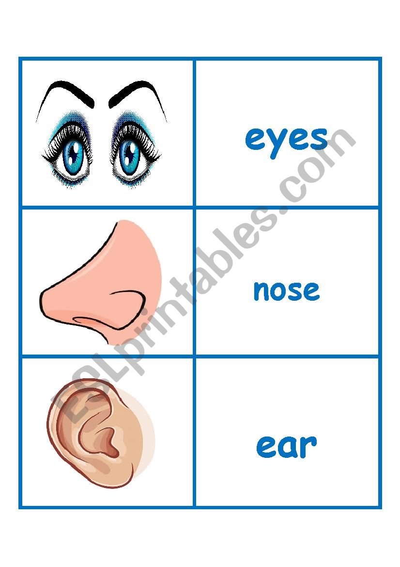 Body & Face Minicards worksheet