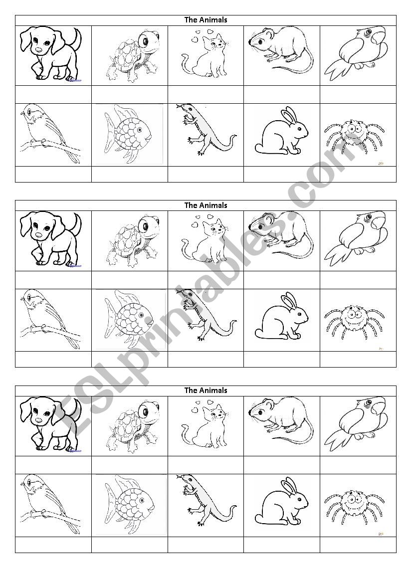 Animals Picture Dictionary worksheet