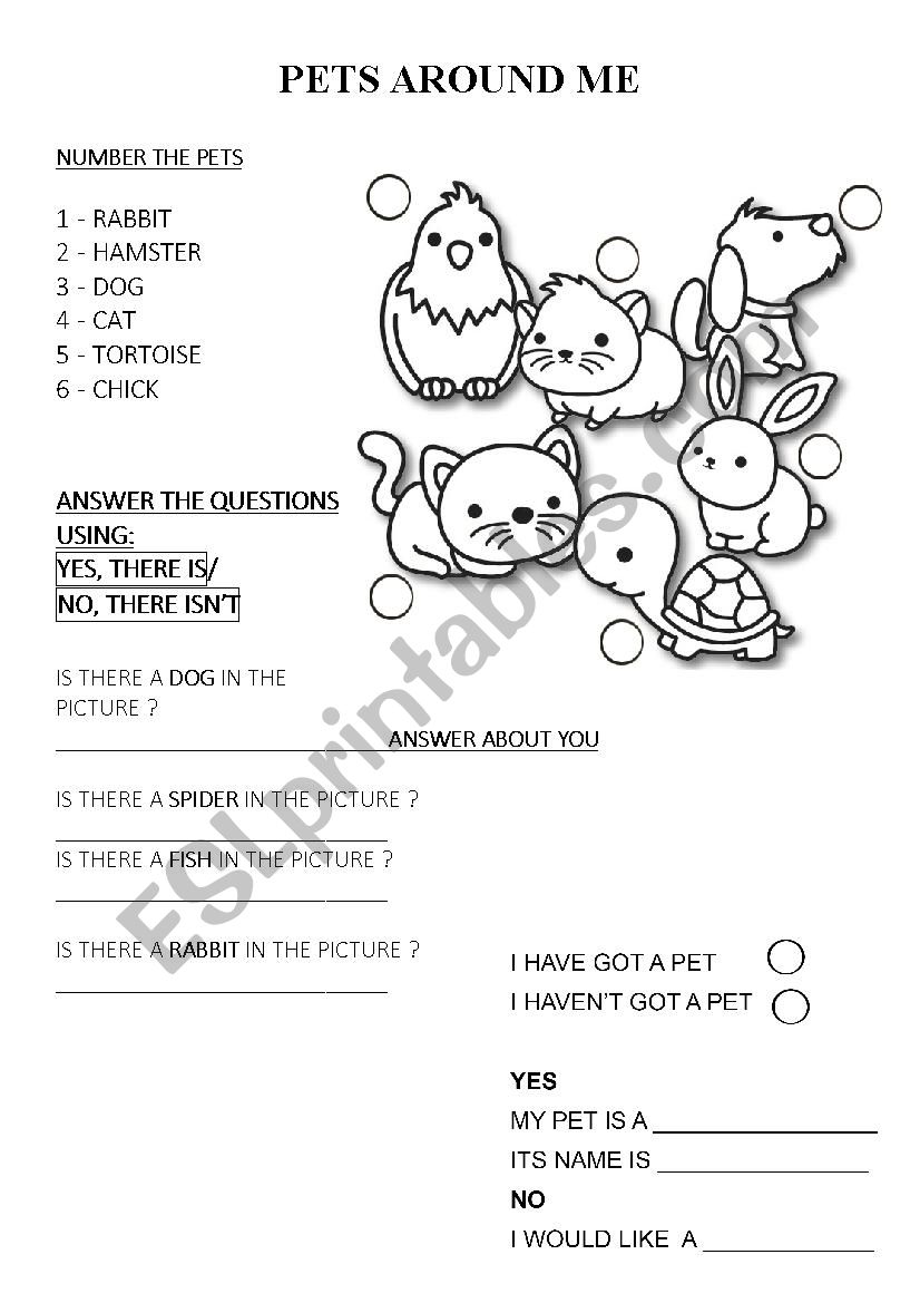 Pets around me  worksheet