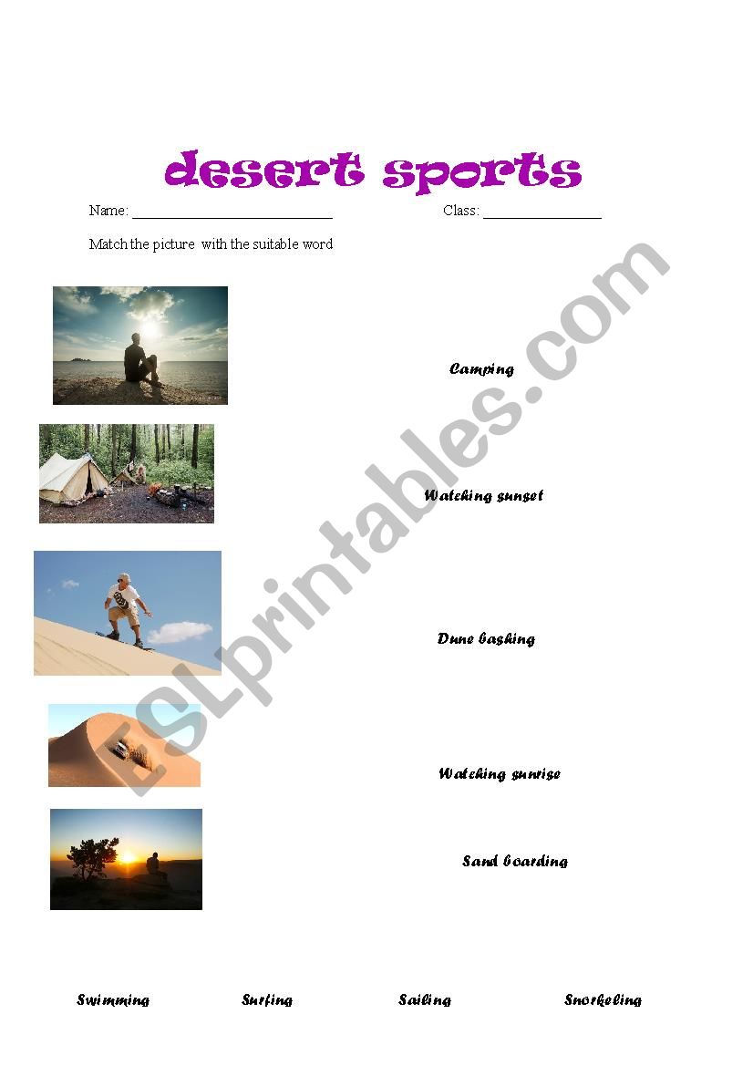 desert sport matching  worksheet