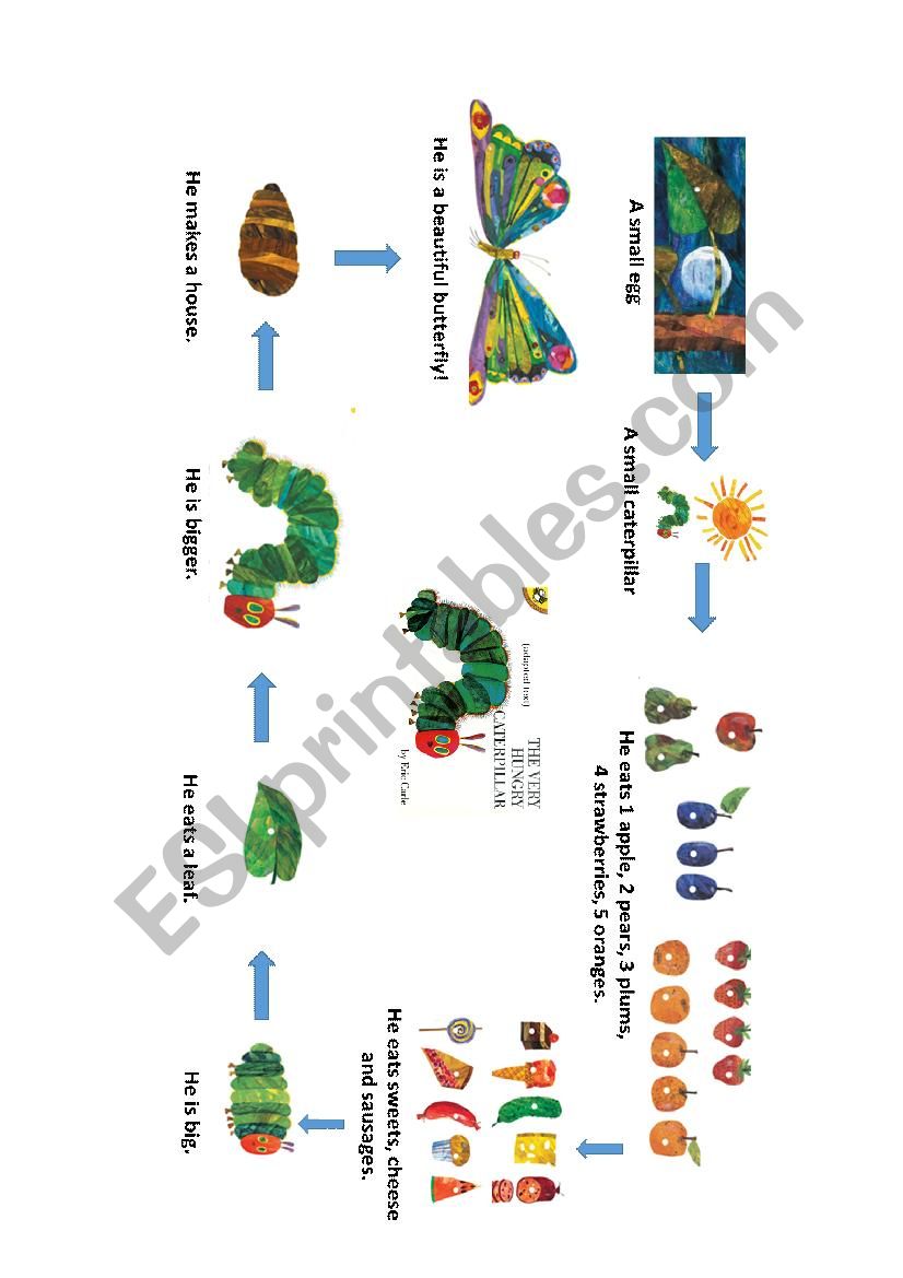 the very hungry caterpillar worksheet