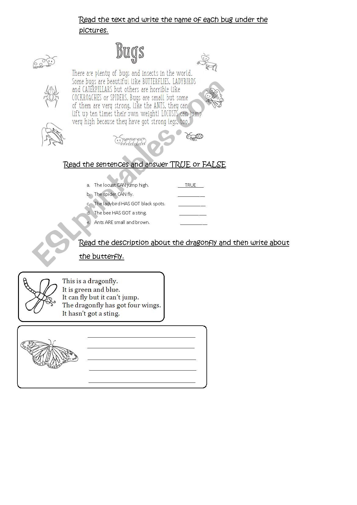 BUGS worksheet