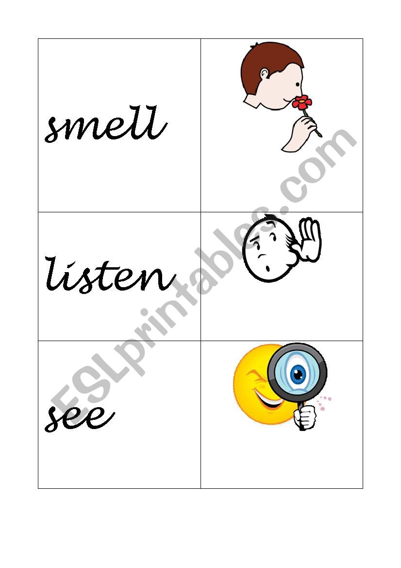 OUR FIVE SENSES. CARDS worksheet