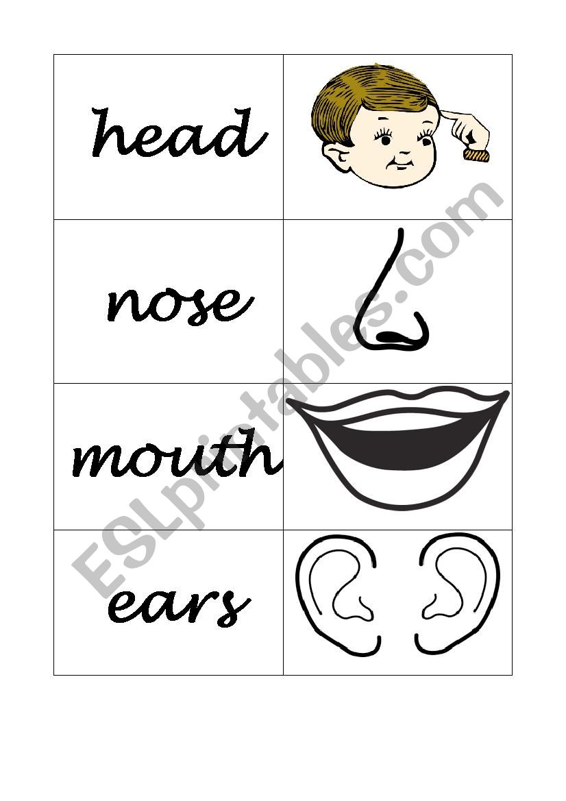 PARTS OF THE FACE AND BODY worksheet