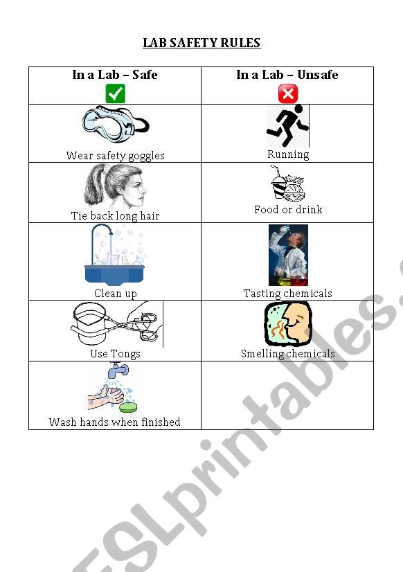 Laboratory Safety Rules ESL Worksheet By Lcpalombo