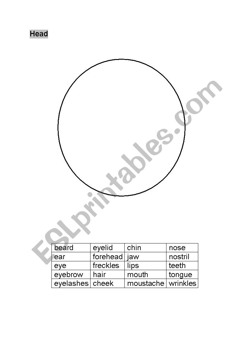 Body parts worksheet