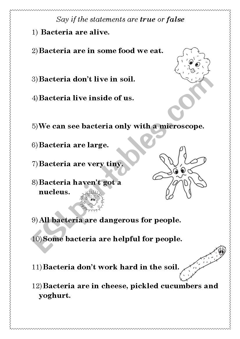 Facts about bacteria worksheet