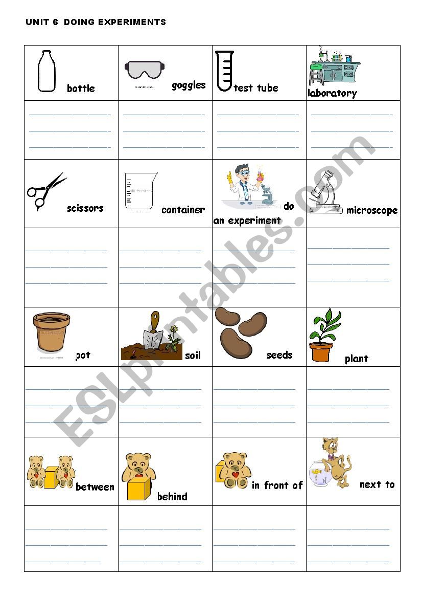 doing experiments worksheet