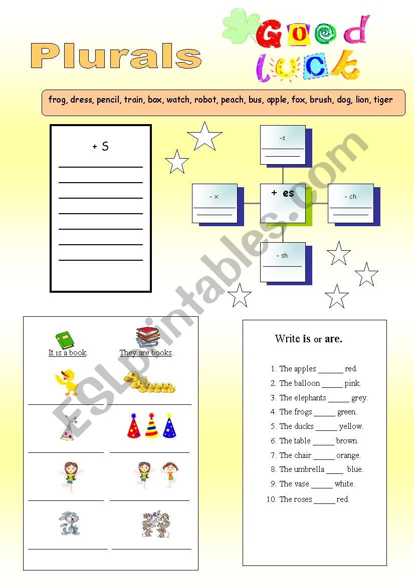 Plurals  / elementary test worksheet