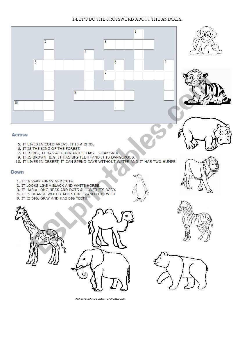 Animals worksheet