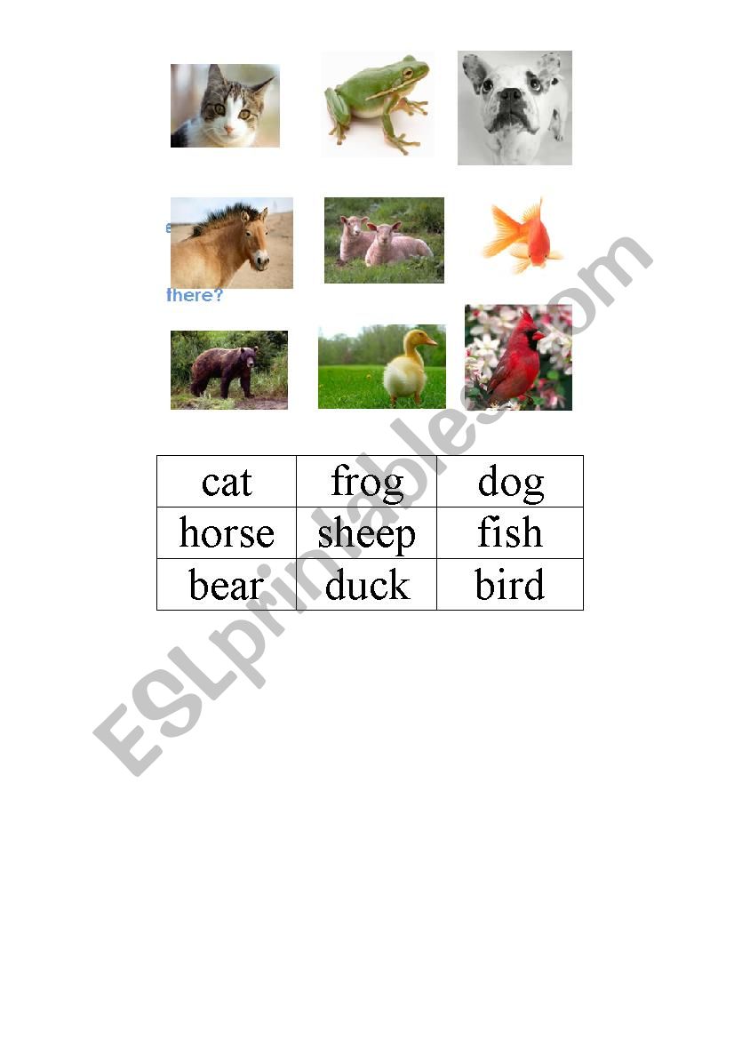 memmory animals worksheet