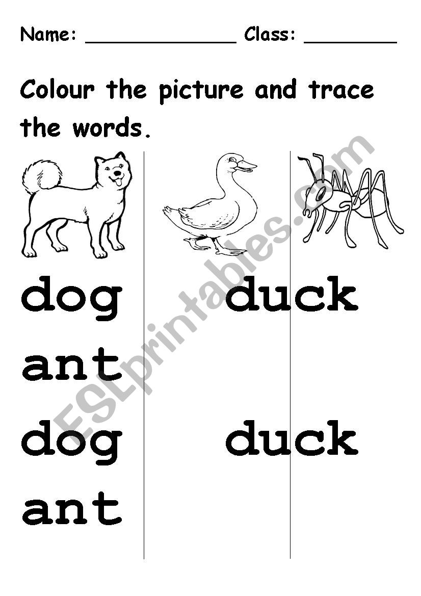 tracing worksheet