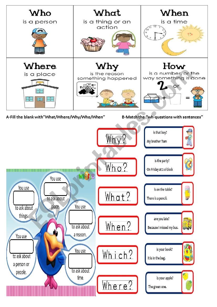 wh- questions worksheet