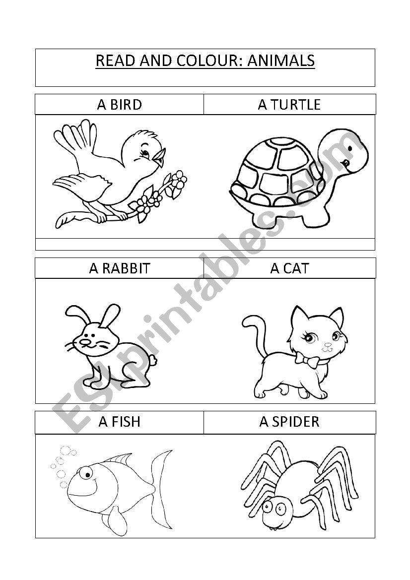 READ AND COLOUR: ANIMALS worksheet