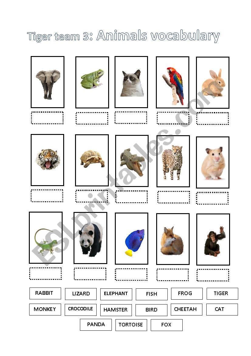 Animals World worksheet