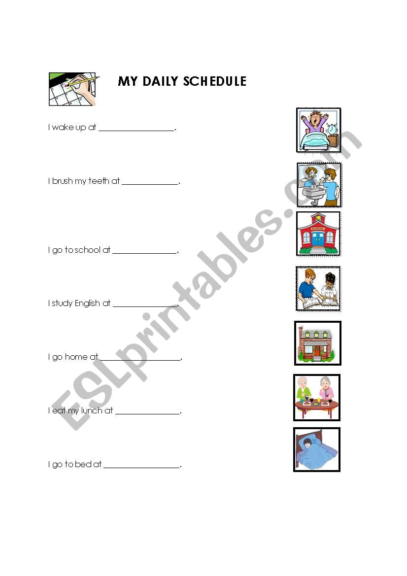 My Daily Schdule worksheet