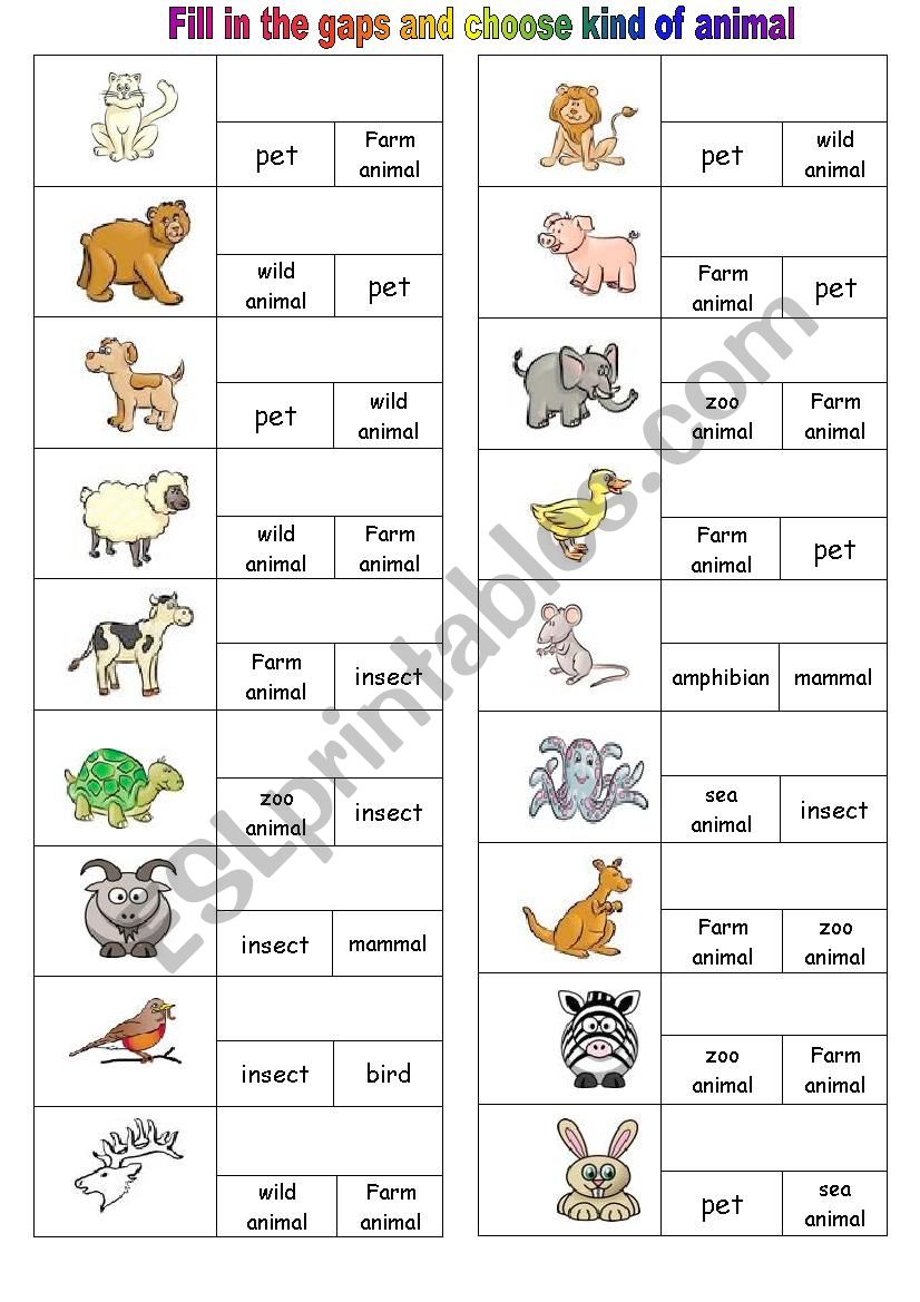 Fill in the gaps and choose kind of animal
