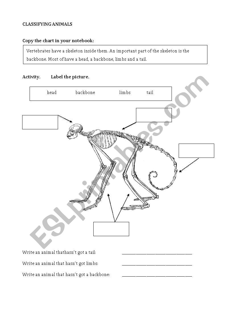 Classifying Animals worksheet