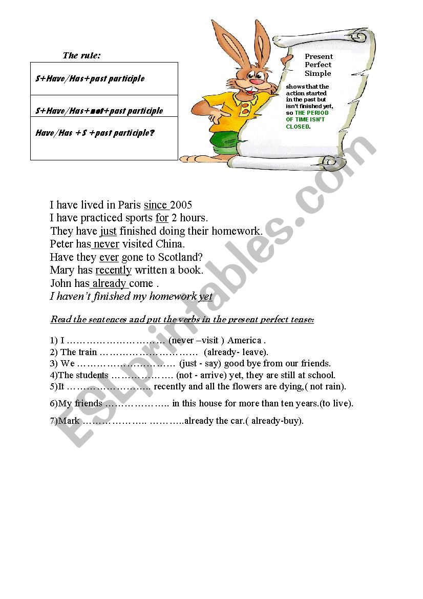 the present perfect tense worksheet