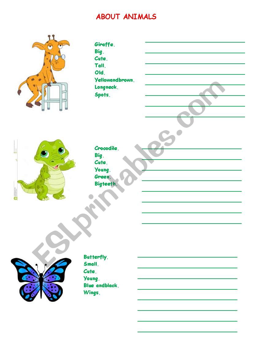 animals worksheet