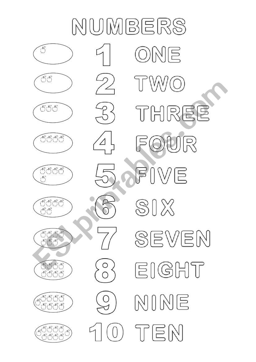 Numbers worksheet