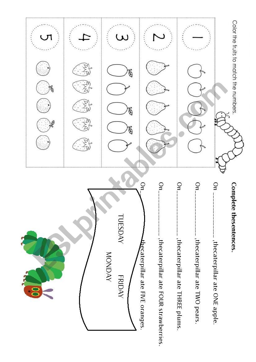 The very hungry caterpillar worksheet