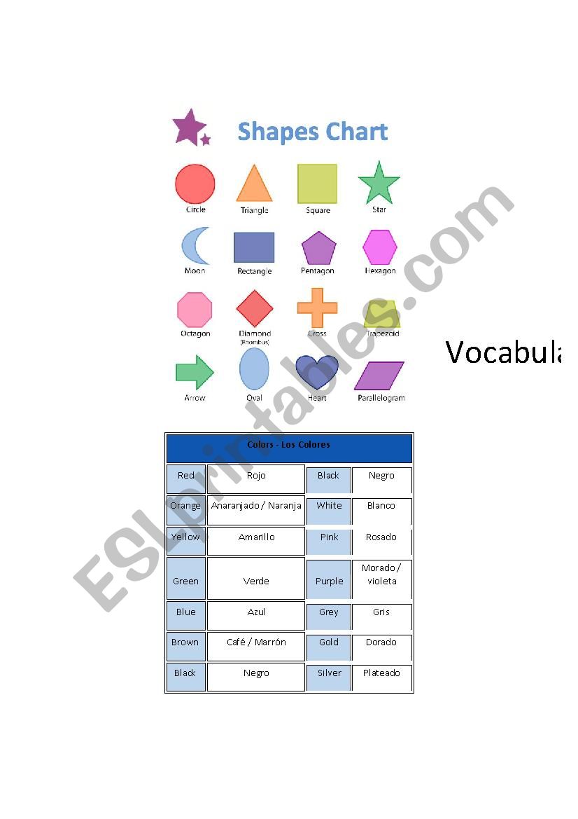Sizes, colors and Materials worksheet