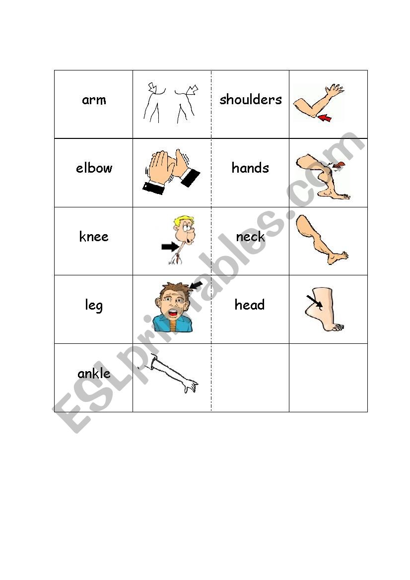 body domino worksheet