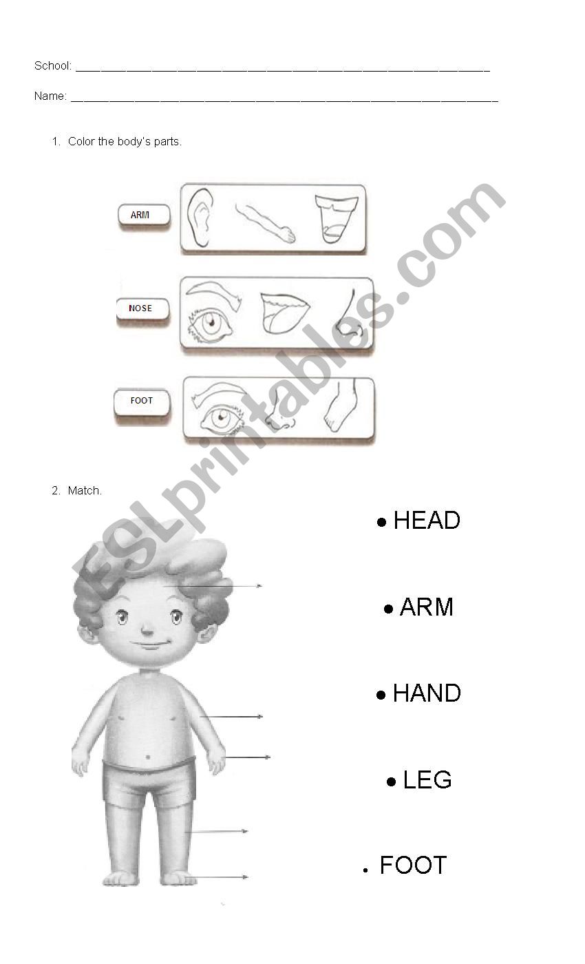 Body parts worksheet