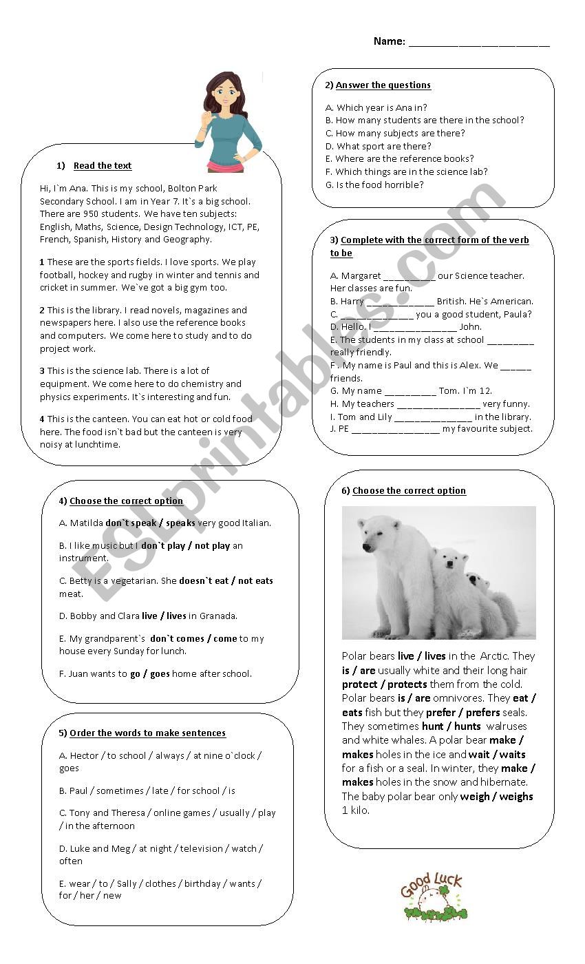 Diagnosis activities 2 worksheet