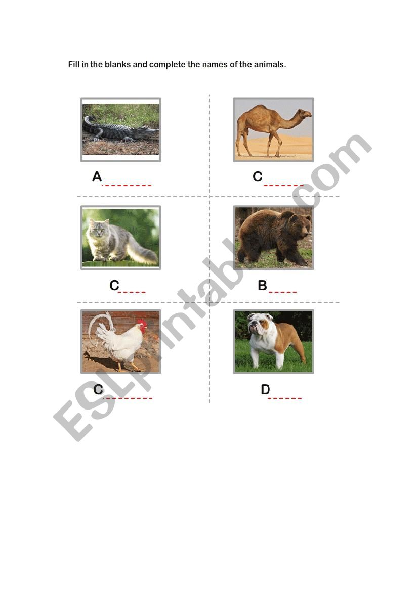 Animals names worksheet