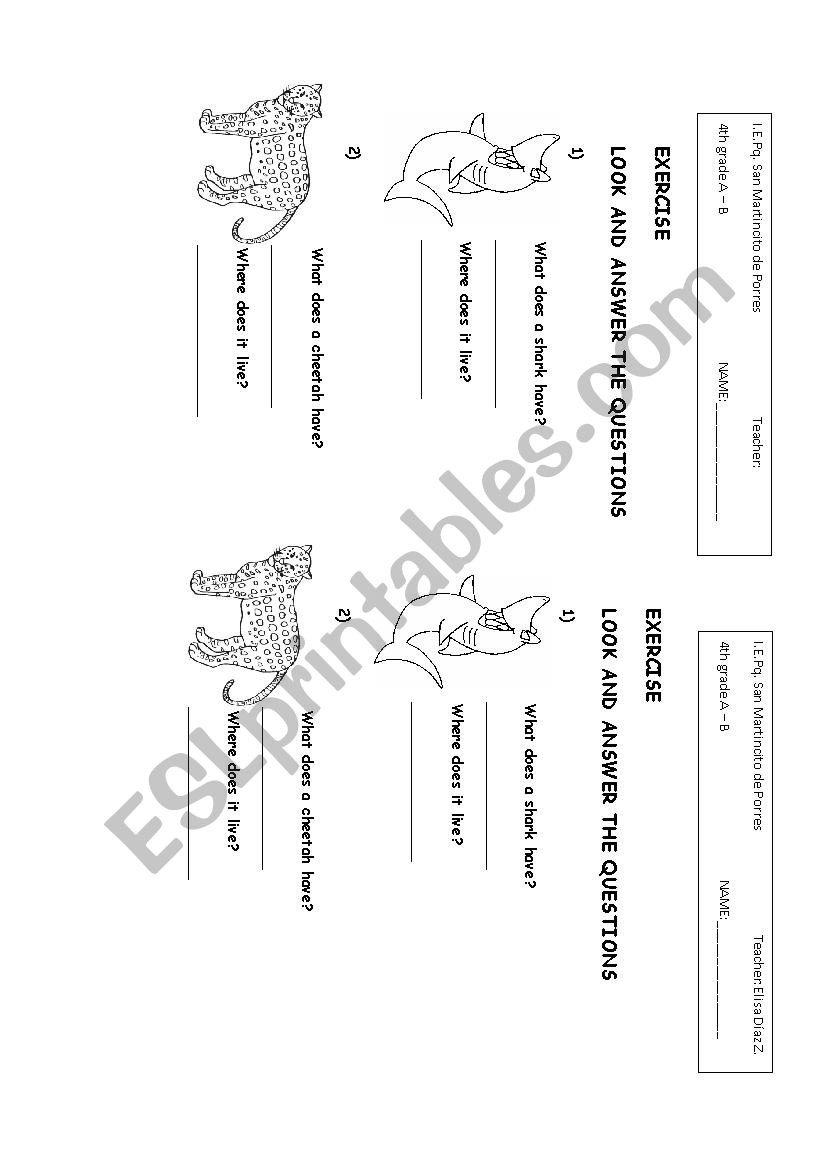 Question word + does...? worksheet