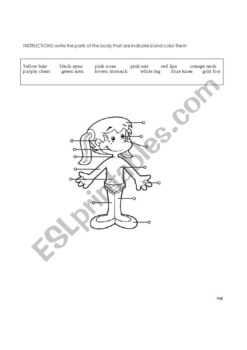 the body worksheet