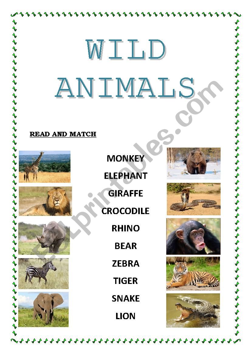 WILD ANIMALS worksheet