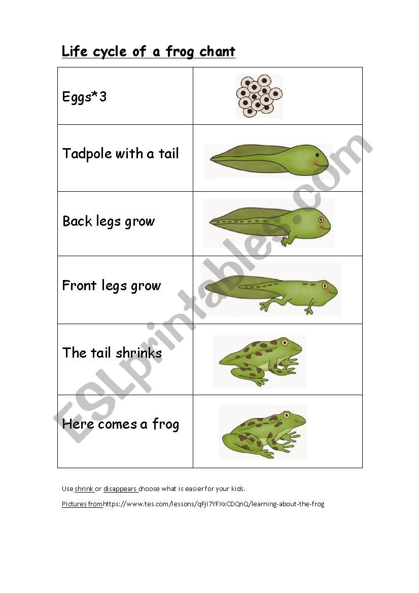 chant frog lifecycle worksheet