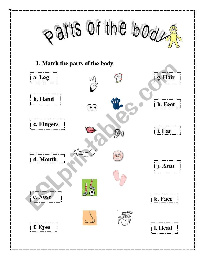 Parts of the boy worksheet