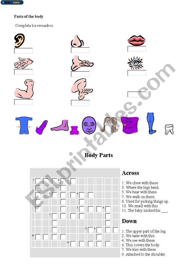 BODY PARTS worksheet