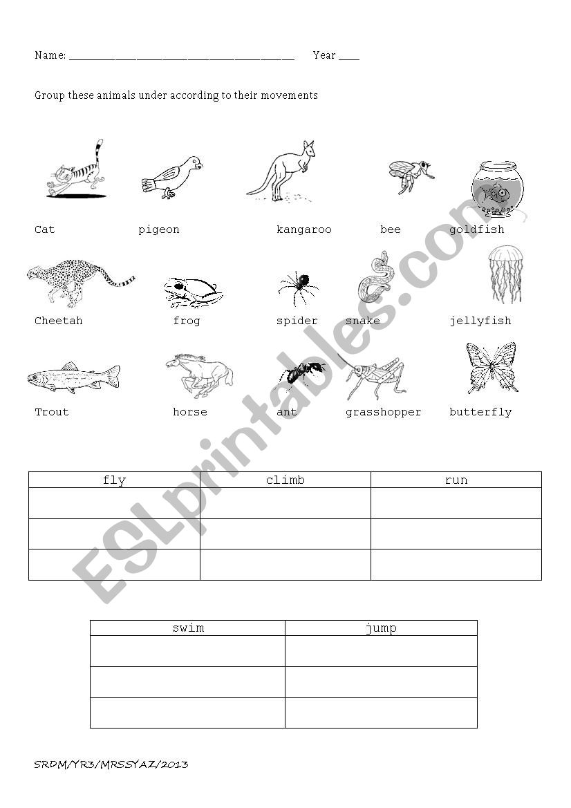 Animal body parts worksheet