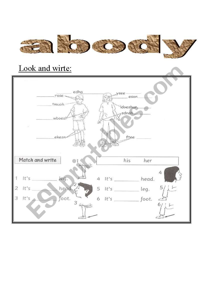 abody worksheet