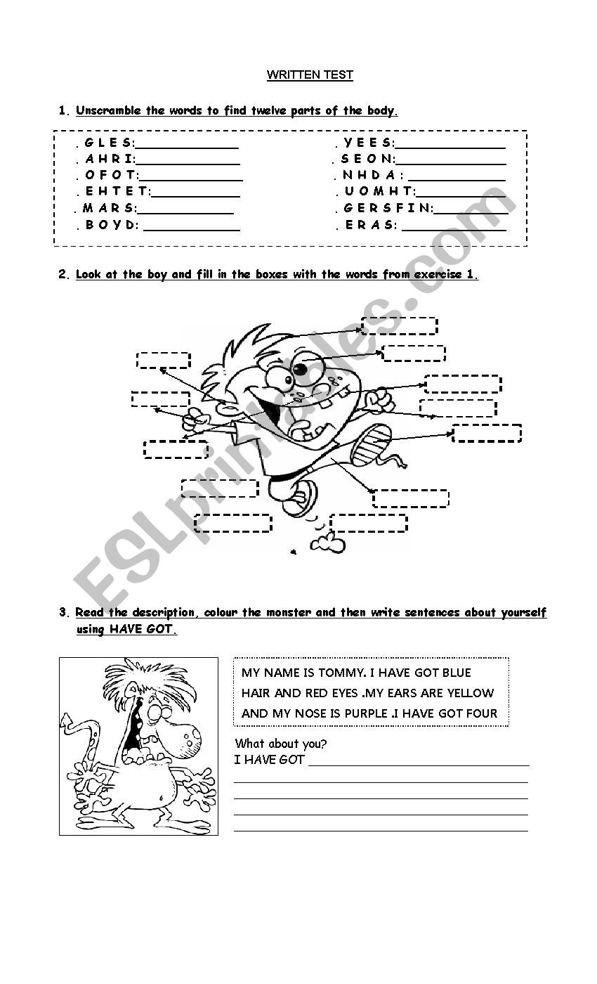 Test for Beginners worksheet